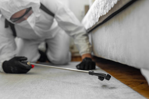 Professional Cockroach Control technician working in North Alamo, TX
