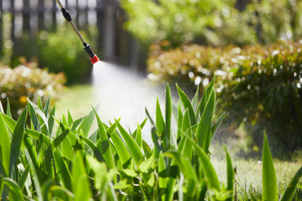 24/7 Emergency Cockroach Control experts in North Alamo, TX