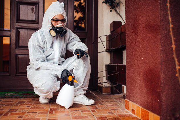 Reliable Cockroach Control contractor in North Alamo, TX by Nex Pest Control