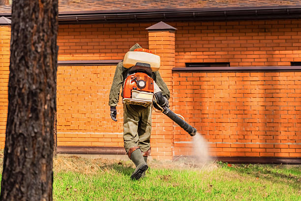 Trusted Emergency Pest Control service in North Alamo, TX - Nex Pest Control